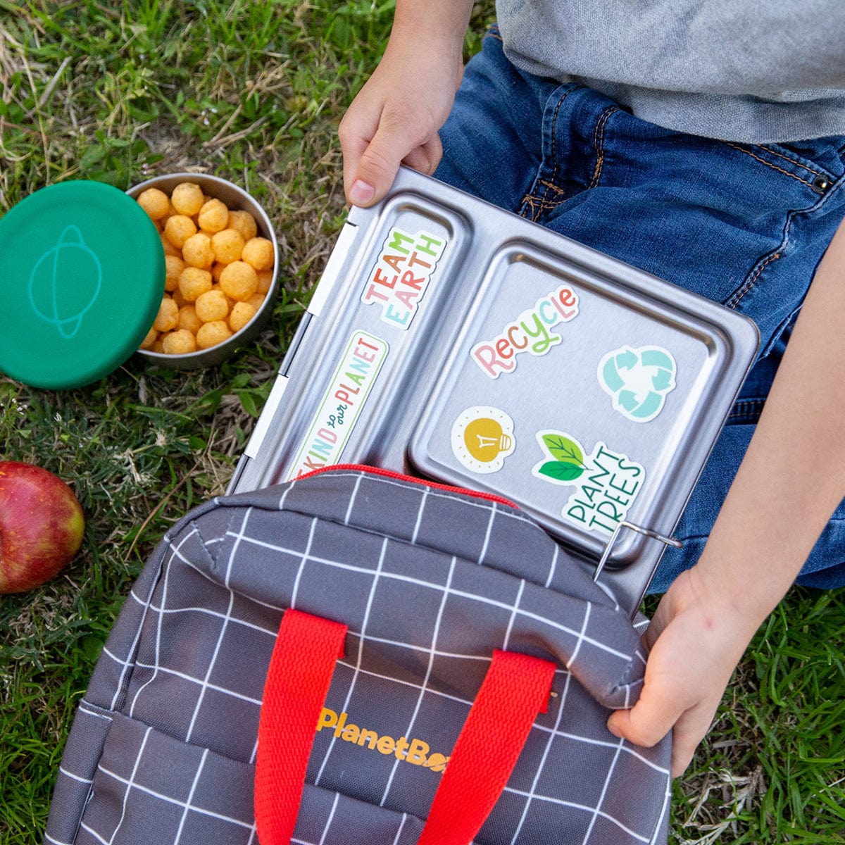 Mix & Match Magnets - Nest and Sprout - Planetbox