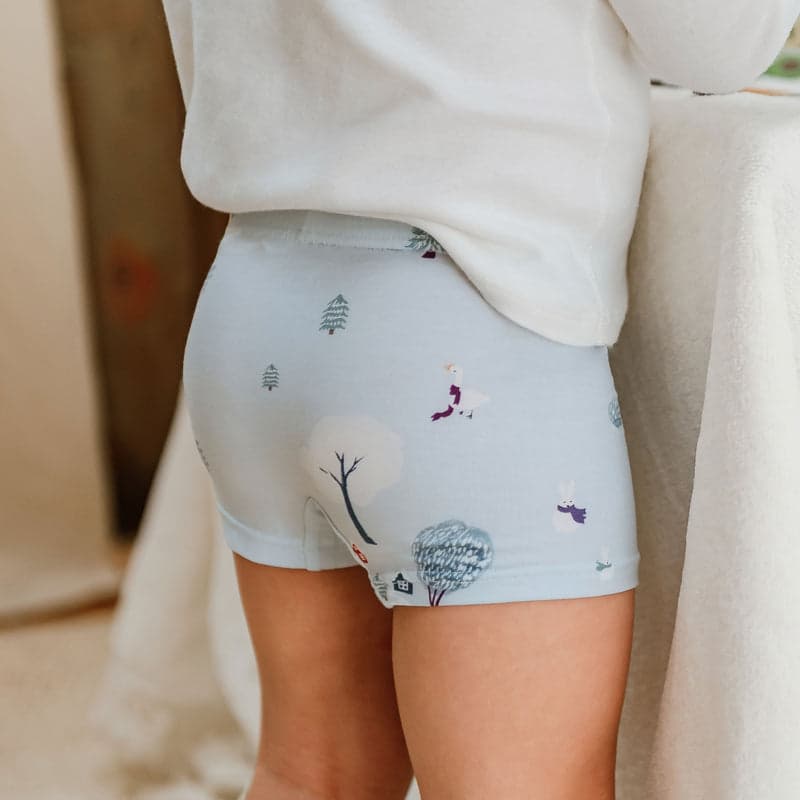 Boys Boxer Briefs Underwear (Bamboo, 2 Pack) Winter Fun