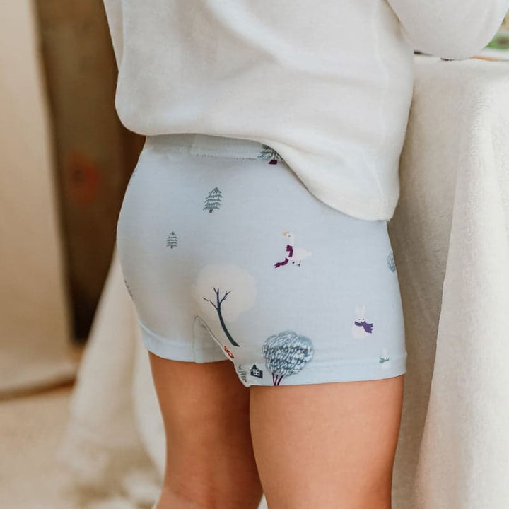 Boys Boxer Briefs Underwear (Bamboo, 2 Pack) Winter Fun