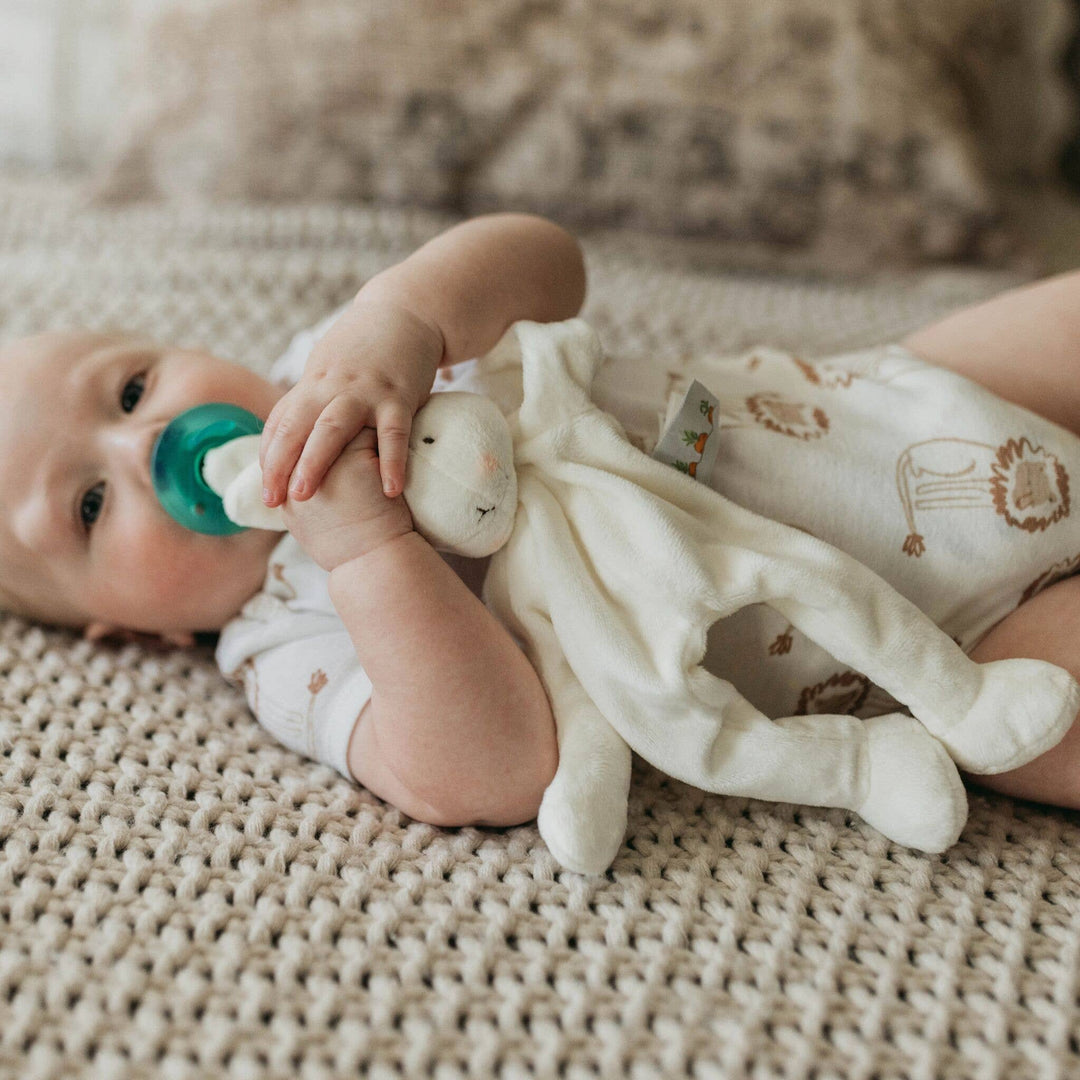 Bun Bun Bunny Silly Buddy