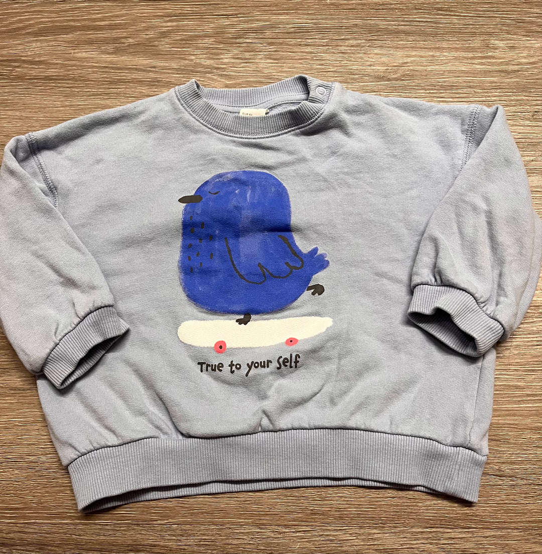 H&amp;M Shirt – 2T | Blue | Bird | Turquoise Sleeves