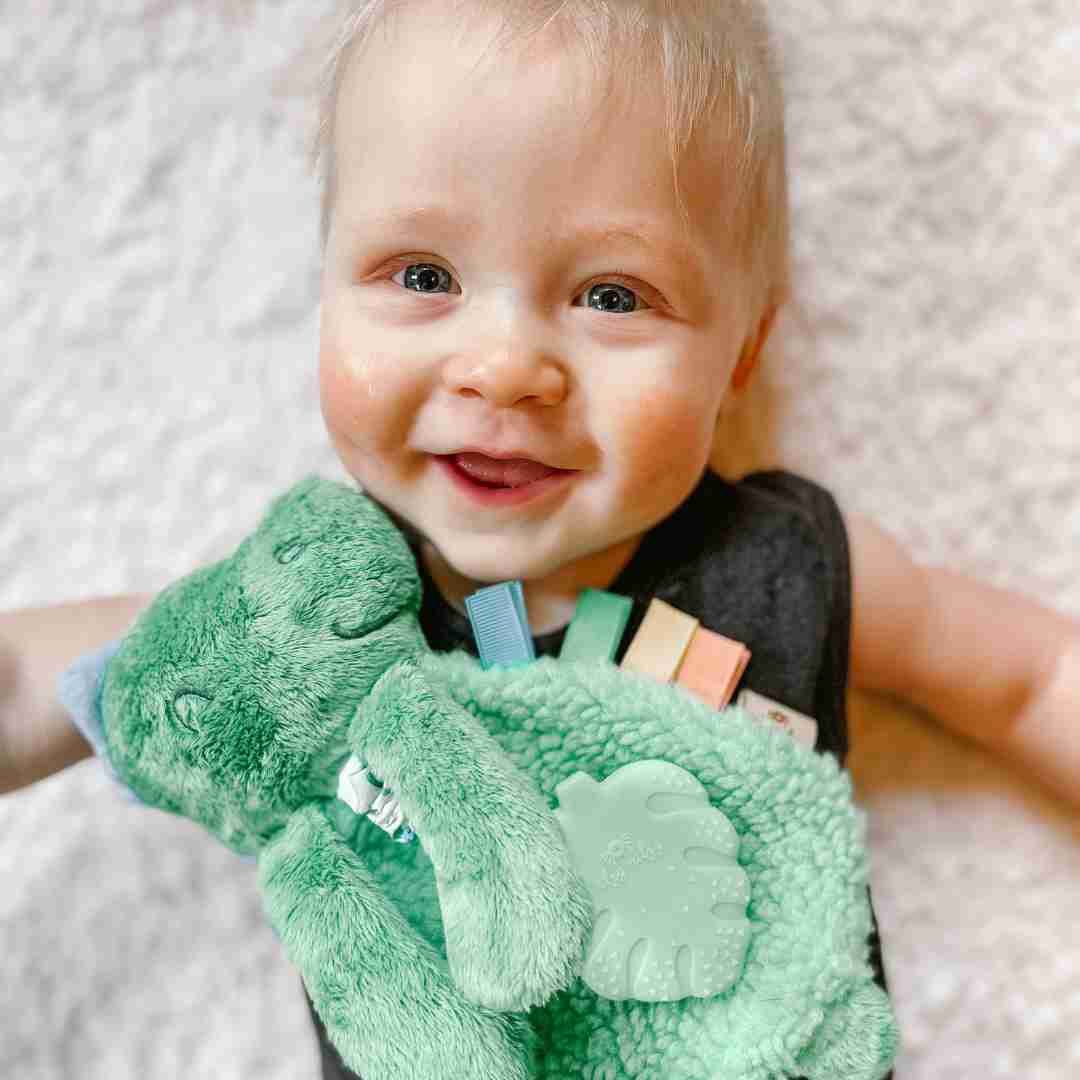 Itzy Friends Itzy Lovey™ | Plush Lovey and Silicone Teething Toy for Baby