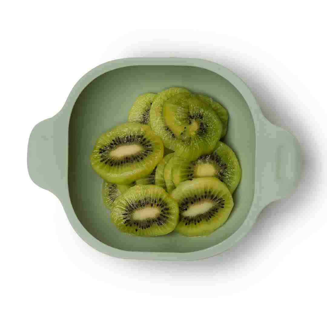 Silicone Suction Bowl for Baby & Kids sage green alligator