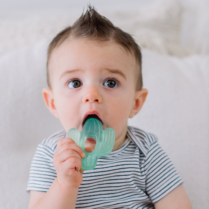 Child chewing on cactus Cutie Coolers™ Water Filled Teethers